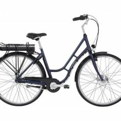 Raleigh Darlington Dame 2020