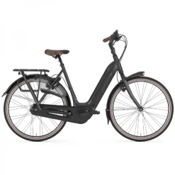 Gazelle Arroyo C8 HMB Dame