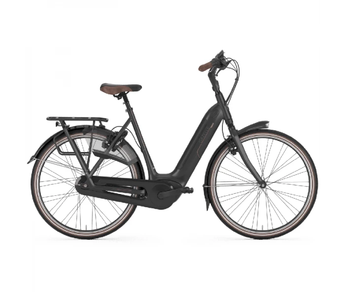 Gazelle Arroyo C8 HMB Dame 3 Gazelle Arroyo C8 HMB Dame