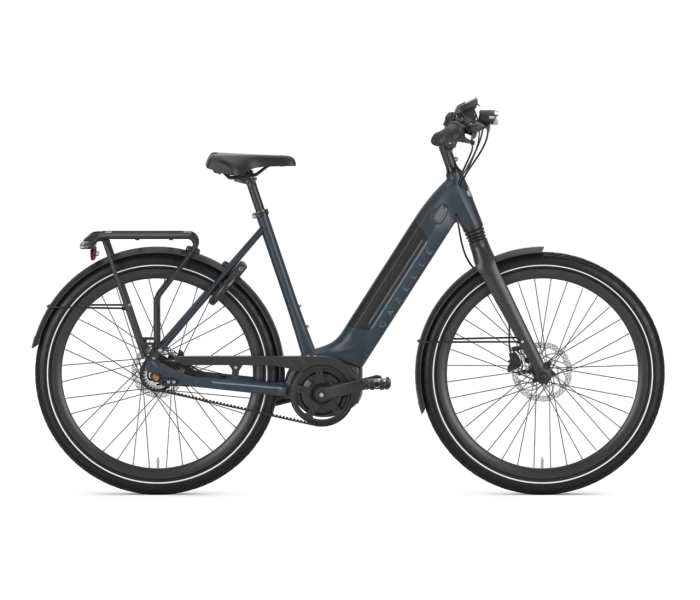 Gazelle Ultimate C8+ HMB Belt 3 Gazelle Ultimate C8+ HMB Belt