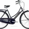 Raleigh Tourist De Luxe Da 3g/7g Kongeblå 2 Raleigh Tourist De Luxe Da 3g/7g Kongeblå -Cykelforretning raleigh tourist de luxe dame nexus 3g fod tromle kongebl m. guld r d 2019 9081742320 3 elcykel salg dk