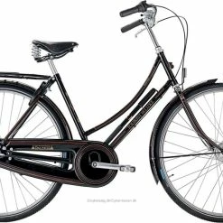 Raleigh Tourist De Luxe Da 3g/7g Sort