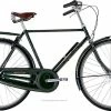 Raleigh Tourist De Luxe Hr 3g/7g Mørkegrøn 1 Raleigh Tourist De Luxe Hr 3g/7g Mørkegrøn -Cykelforretning raleigh tourist de luxe herre nexus 3g fod tromle m rkegr n m. guld r d 2019 9081743322 3 elcykel salg dk