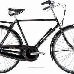 Raleigh Tourist De Luxe Hr 3g/7g Sort