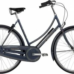 Raleigh Tourist De Luxe Dame 7g Gråblå